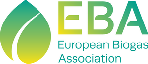EBA Logo High quality